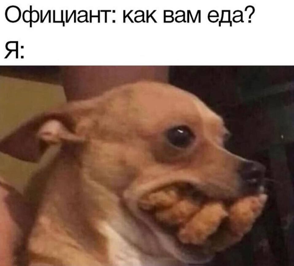 Официант: как вам еда? Я: