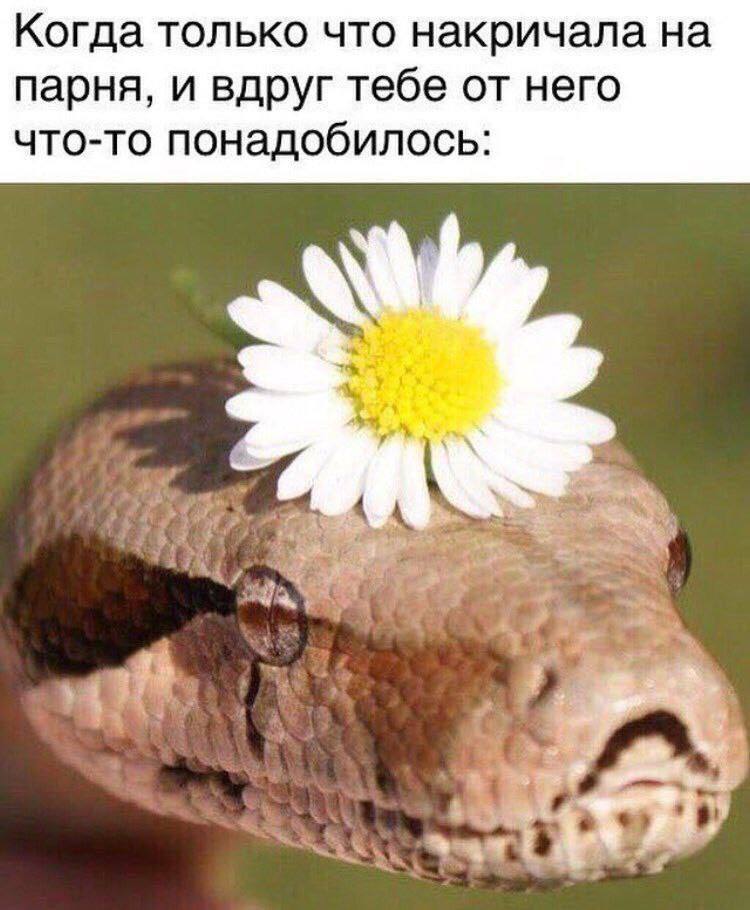 Когда только что накричала на парня, и вдруг тебе от него что-то понадобилось: А 438