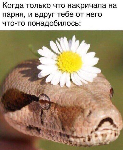 Когда только что накричала на парня, и вдруг тебе от него что-то понадобилось: А 438