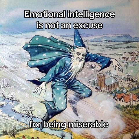 Emotional intelligence is not an excuse bei ble ГОГ peing miserable