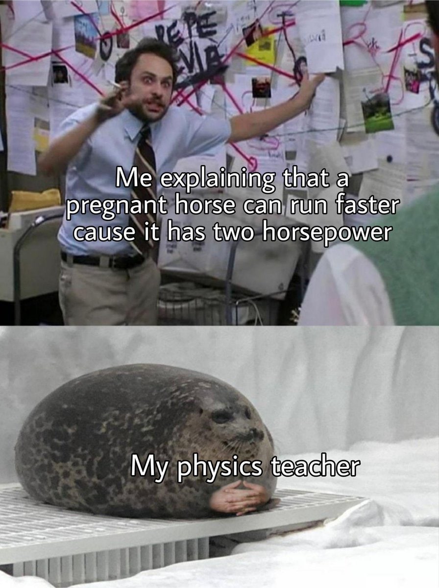 Me explaining that а pregnant horse can run faster cause it has two horsepower My physics