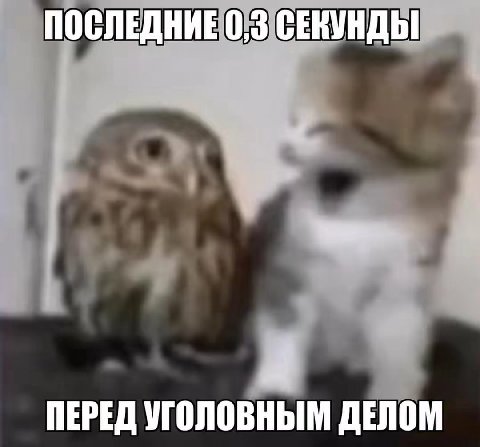ПОСЛЕДНИЕ 0,3 СЕКУНДЫ ПЕРЕД УГОЛОВНЫМ ДЕЛОМ
