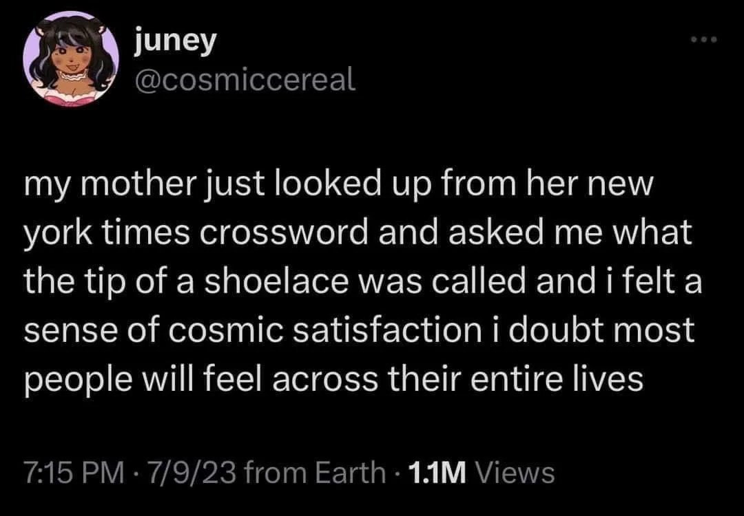 juney my mother just looked up from her new york times crossword and asked me what the tip of a shoelace was called and a sense of cosmic satisfaction doubt most people will feel across their entire l