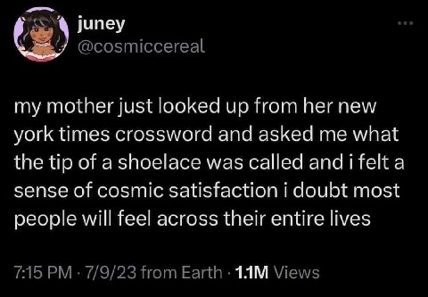 juney my mother just looked up from her new york times crossword and asked me what the tip of a shoelace was called and a sense of cosmic satisfaction doubt most people will feel across their entire l