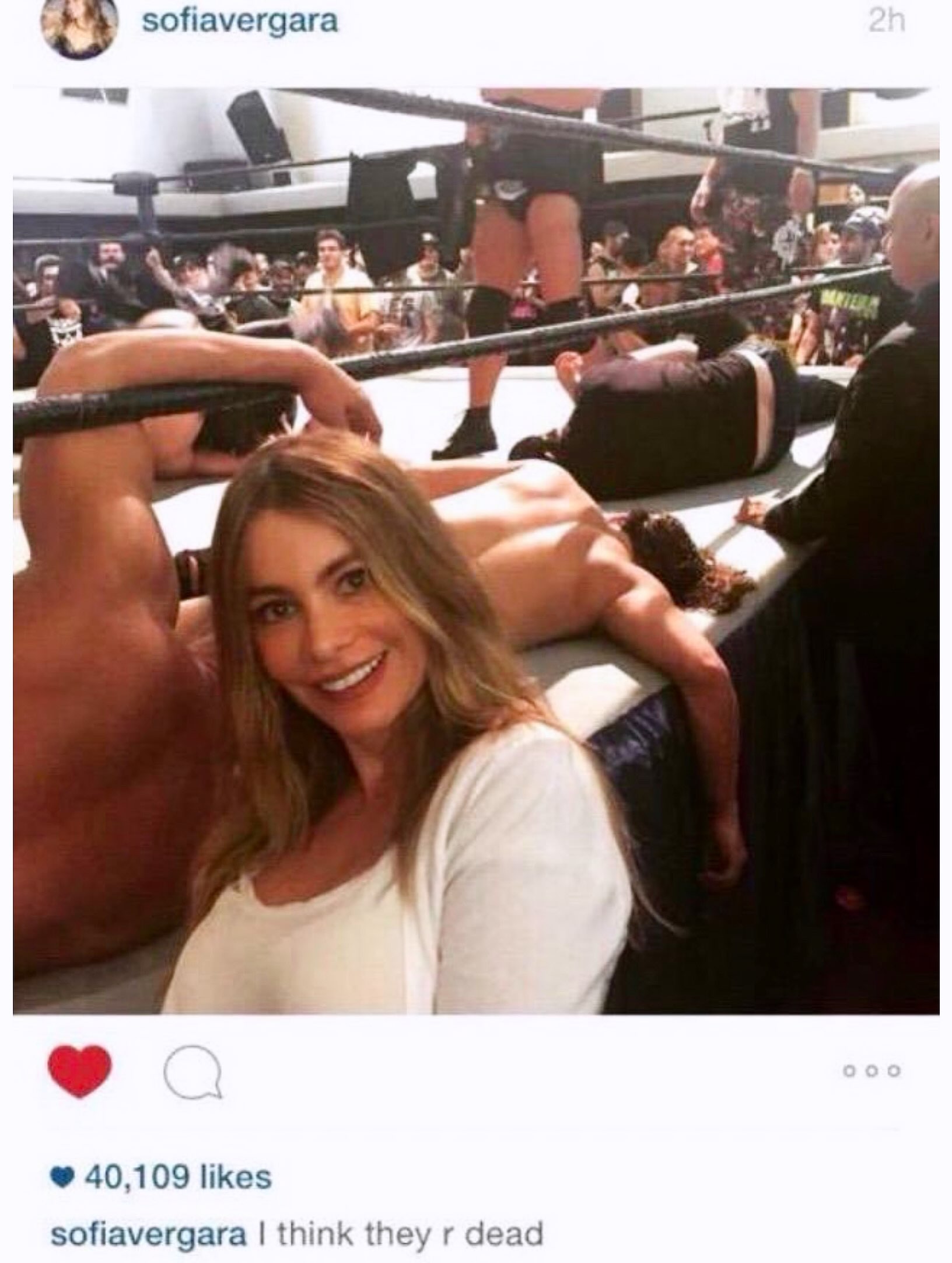 sofiavergara 40.109 likes sofiavergara think they dead