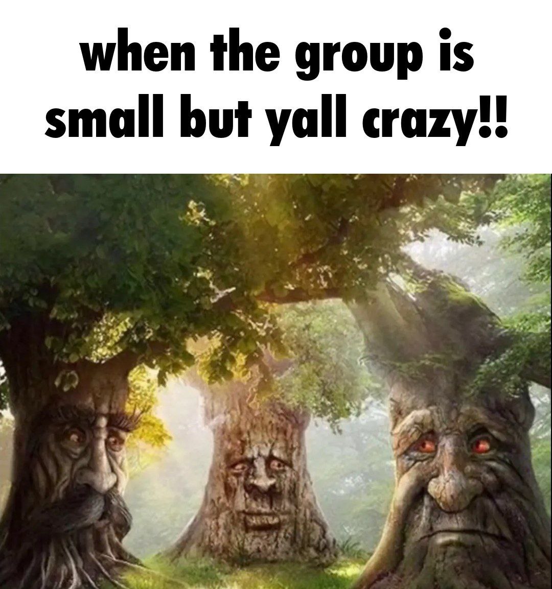 when the group Is small but yall crazy!! ive a