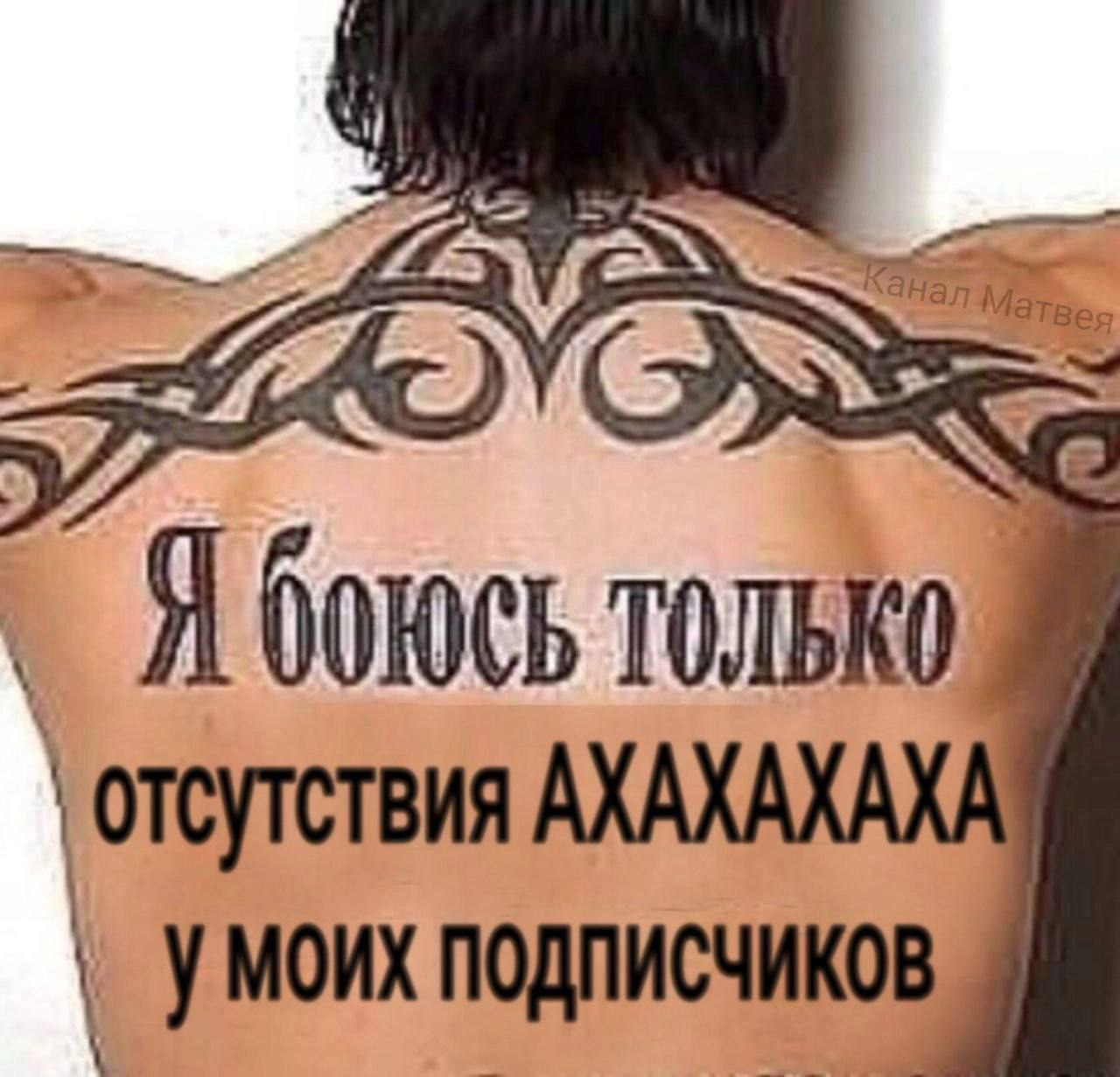 Lan Я боюсь отсутствия АХАХАХАХА у моих ПОДПИСЧИКОВ