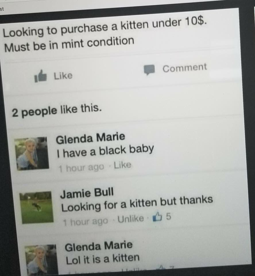 Looking to purchase а kitten under 10$. Must be in mint condition Like 2 people like this. Glenda Marie have a black baby Like Jamie Bull Looking for a kitten but thanks ago Unlike 5 Glenda Marie Lol 