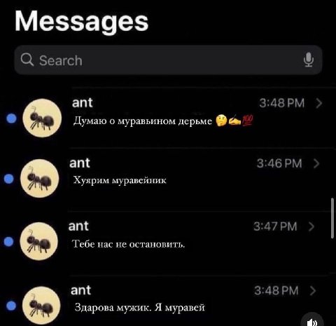 шатаут моему любимому каналу