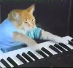 мем