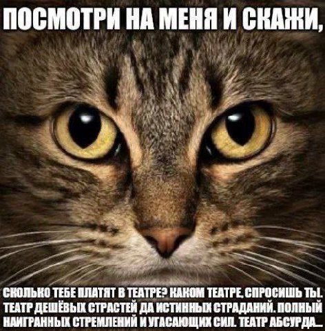 ПОСМОТРИ НА МЕНЯ И СКАЖИ, ТЕАТР ДЕШЁВЫХ СТРАСТЕЙ ДА ИСТИННЫХ СТРАДАНИЙ. ПОЛНЫЙ TEBE ПЛАТЯТ В ТЕАТРЕ2 КАКОМ ТЕАТРЕ, СПРОСИШЬ ТЫ. НАИГРАННЫХ СТРЕМЛЕНИЙ И УГАСАЮЩИХ СИЛ. ТЕАТР АБСУРДА_
