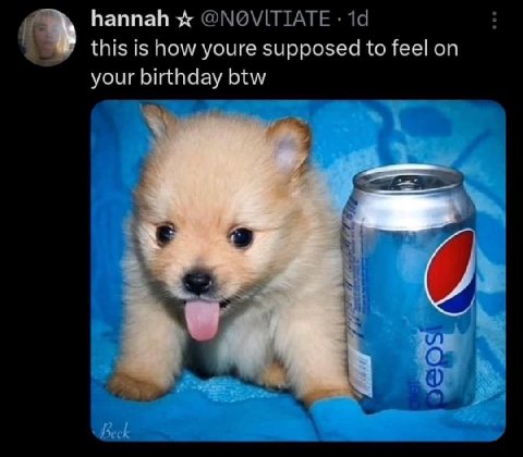 hannah @МО\/ПТАТЕ this is how youre supposed to feel on your birthday btw 7 4