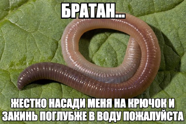 БРАТА ЖЕСТКО НАСАДИ МЕНЯ НА КРЮЧОКИ ЗАКИНЬ ПОГЛУБЖЕ В ВОДУ ПОЖАЛУЙСТА
