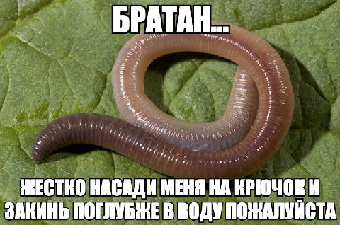 БРАТА ЖЕСТКО НАСАДИ МЕНЯ НА КРЮЧОКИ ЗАКИНЬ ПОГЛУБЖЕ В ВОДУ ПОЖАЛУЙСТА