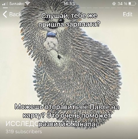 Билайн 34 Слушай тебеже 4 4 А поможе! OUW/S