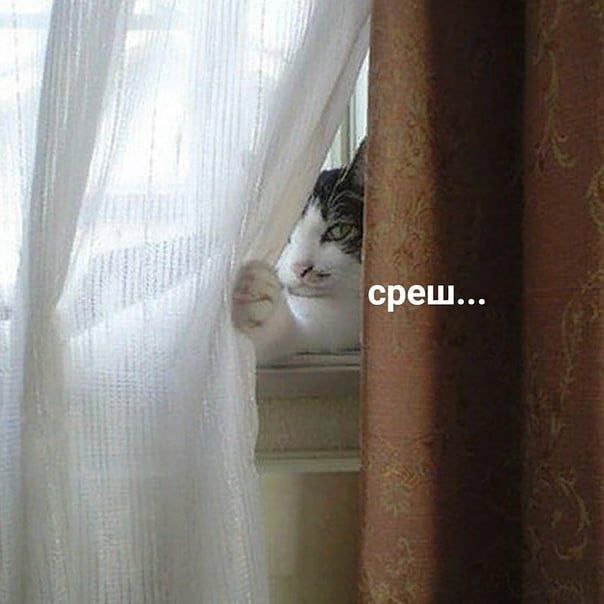 i A 4 среш...