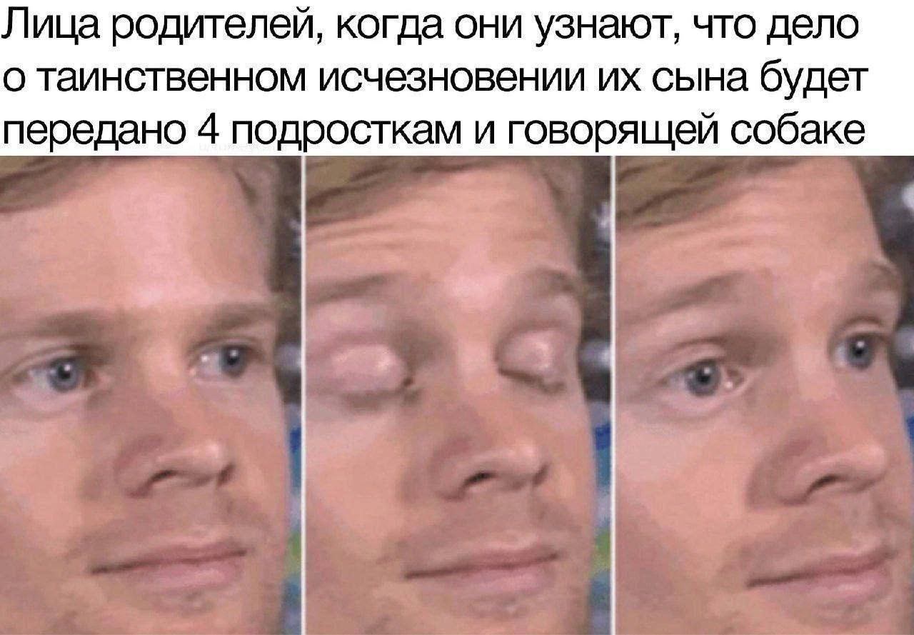 Лица родителей, когда они узнают, что дело о таинственном исчезновении сына будет передано 4 подросткам и говорящей собаке я