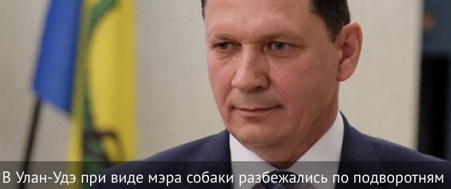 В Улан-Удэ при виде мэра собаки разбежались по подворотням