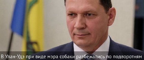 В Улан-Удэ при виде мэра собаки разбежались по подворотням
