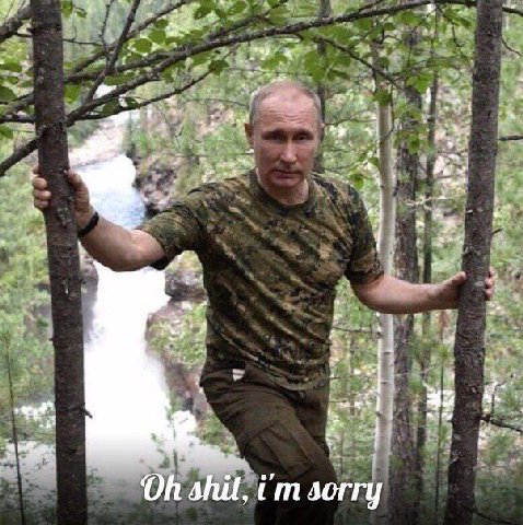 a= at ж я at 5. shit