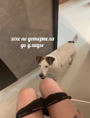 хехе не дотерпела
