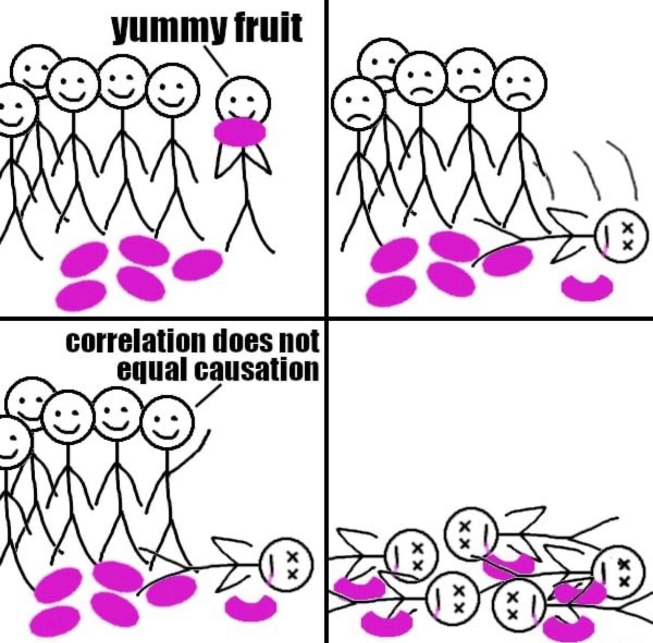 fruit correlation does not equal causation