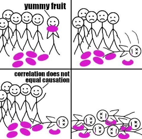 fruit correlation does not equal causation