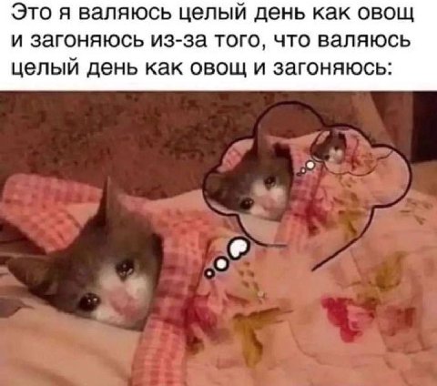 Это я валяюсь целый день как овощ и загоняюсь из-за того, что валяюсь целый день как овощ и загоняюсь: