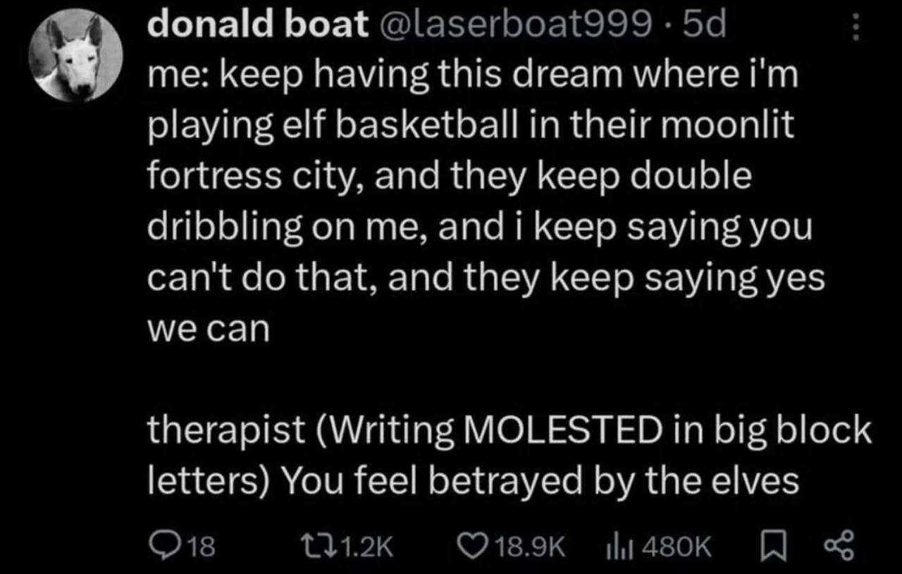 donald boat @laserboat999 me: keep having this dream where playing elf basketball in their moonlit fortress city, and they keep double dribbling on me, and i keep saying you can't that, and they keep 