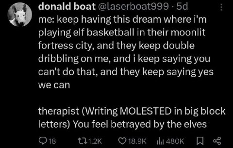 donald boat @laserboat999 me: keep having this dream where playing elf basketball in their moonlit fortress city, and they keep double dribbling on me, and i keep saying you can't that, and they keep 