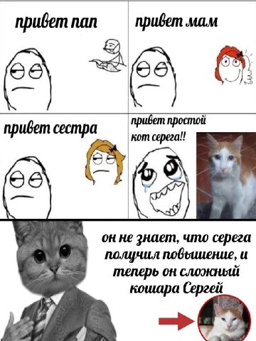приветпап мам ubem простой привет сестра 06 95) он не 2Haem, что серега получил и теперь он сложный кошара Сергей