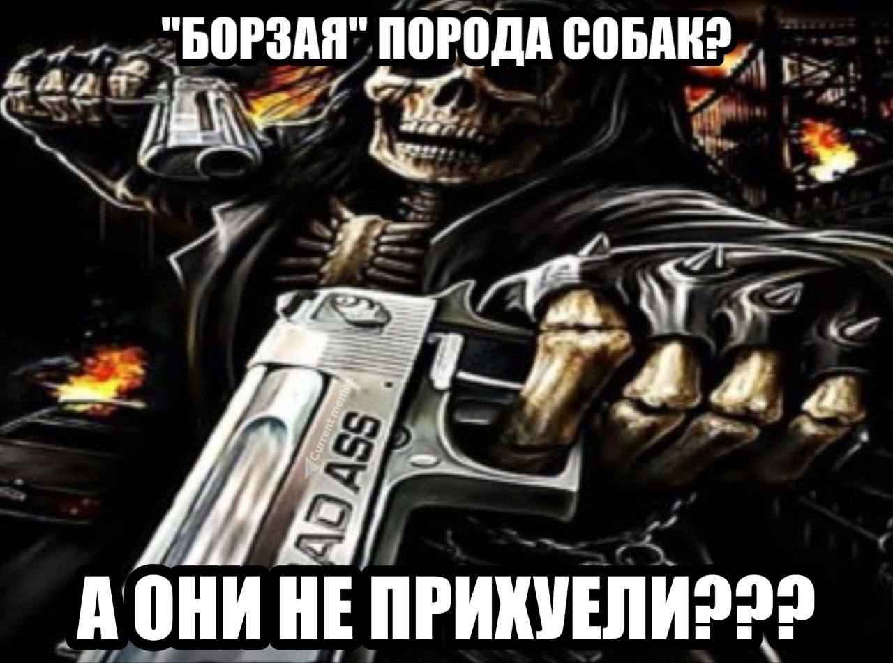 "БОРЗАЯ" ПОРОДА jae A ОНИ НЕ ПРИХУЕЛИ