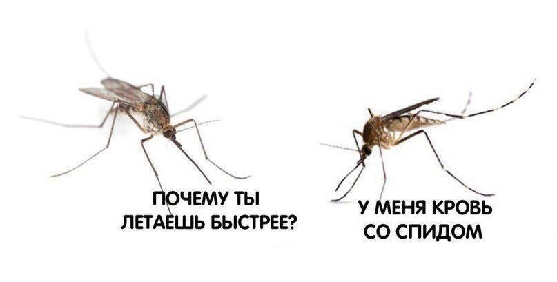 ЧЕМУ ТЫ у МЕНЯ КРОВЬ ЛЕТАЕШЬ БЫСТРЕЕ? СПИДОМ