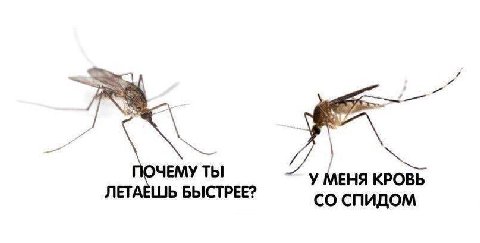 ЧЕМУ ТЫ у МЕНЯ КРОВЬ ЛЕТАЕШЬ БЫСТРЕЕ? СПИДОМ