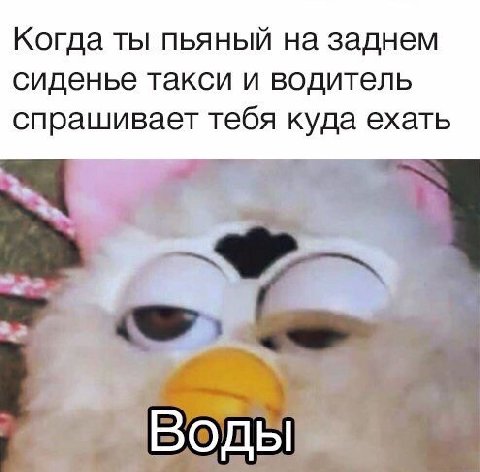 Когда ты пьяный на заднем сиденье такси и водитель спрашивает тебя куда ехать a Воды