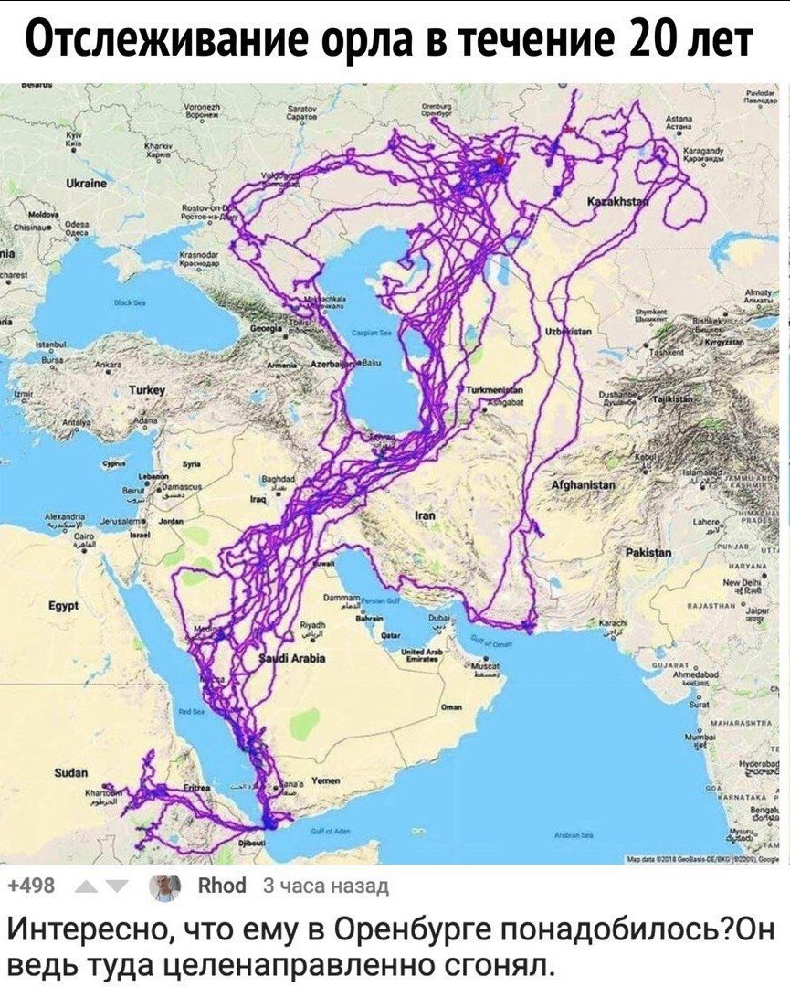Отслеживание орла В течение 20 лет Saratov Astona Kyiv Астана Karagandy Ukraine 4 Turkey 4 24 Syria Bewut Afghanistan tran Gulf New Delhi Rae Egypt Jaipur United Arad GUJARAT о 1 Red See a? Surat Yeme