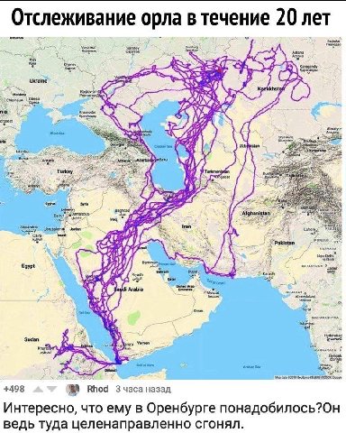 Отслеживание орла В течение 20 лет Saratov Astona Kyiv Астана Karagandy Ukraine 4 Turkey 4 24 Syria Bewut Afghanistan tran Gulf New Delhi Rae Egypt Jaipur United Arad GUJARAT о 1 Red See a? Surat Yeme