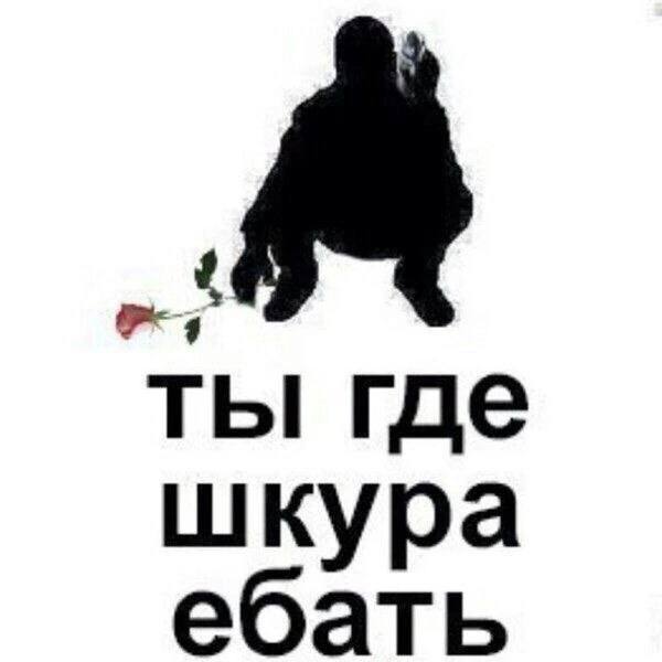 ты где шкура ебать