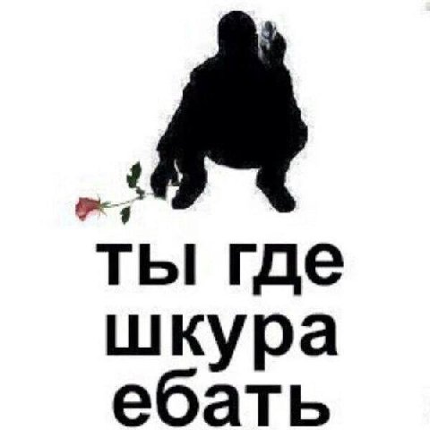 ты где шкура ебать