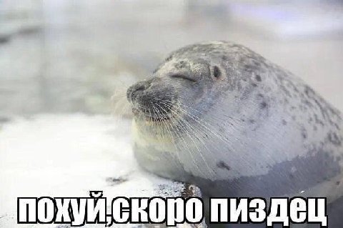 я AN a у СКО пиздец