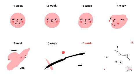 1 меек 2 week 3 week 4 week Own Own 5 week 6 week 7 меек 8 с а к