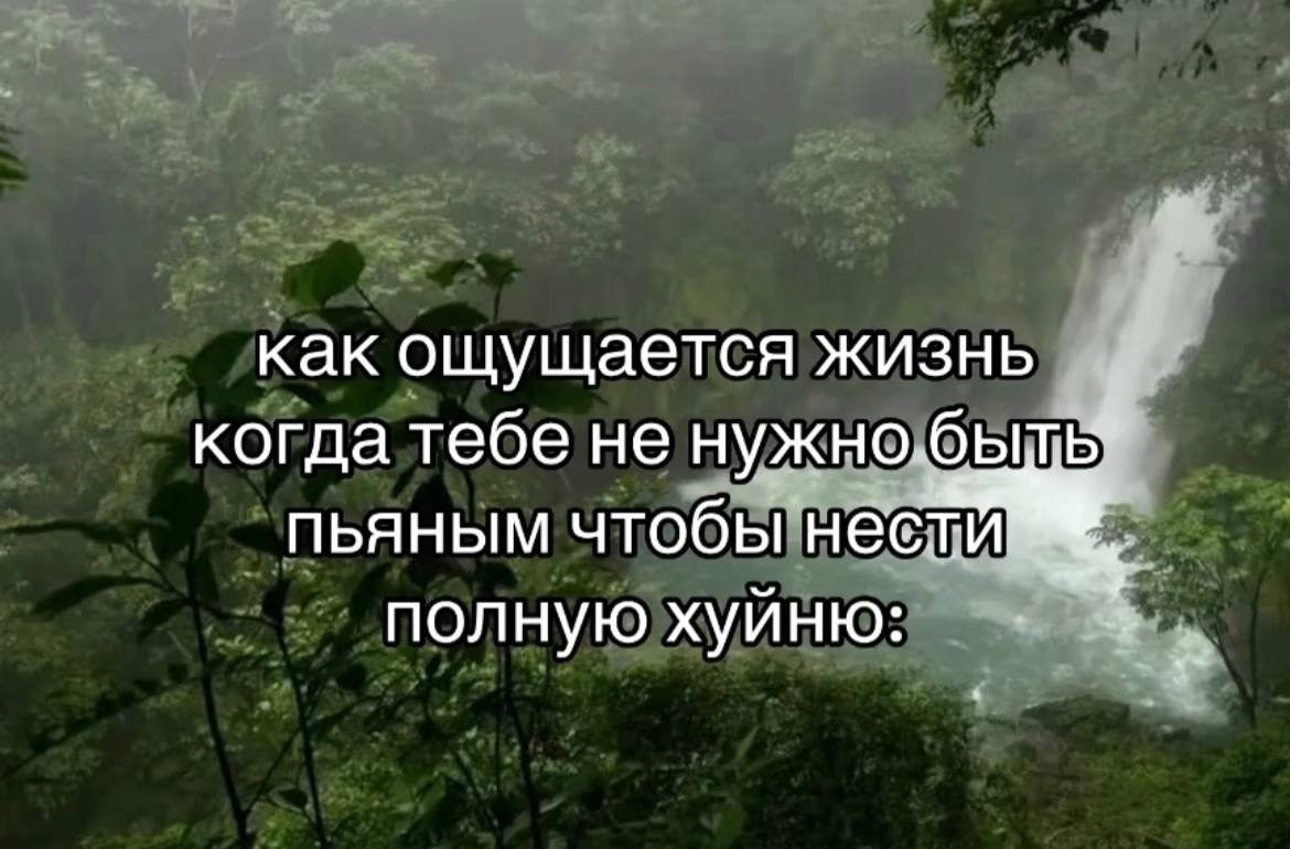 как ощущается жизнь когда тебе не пьяным чтобы нести полную хуйню: