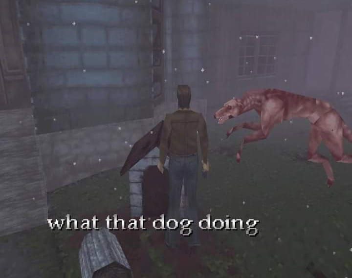 what that dog dome