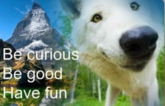 Be good Have fun