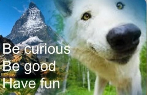 Be good Have fun