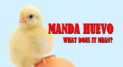 MANDA HUEVO WHAT DOES IT