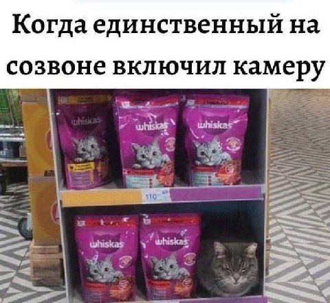 Когда единственный на созвоне включил камеру