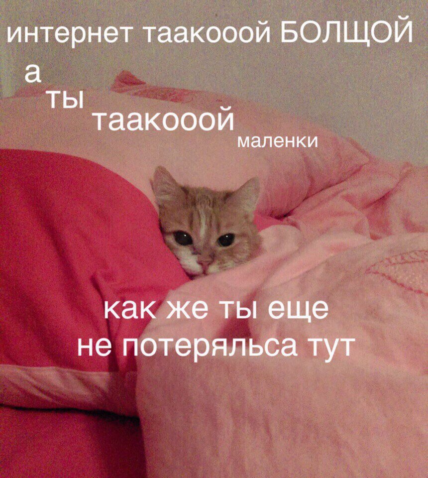 интернет таакооой БОЛЩОЙ а ты таакооой маленки как же ты еще не потеряльса тут