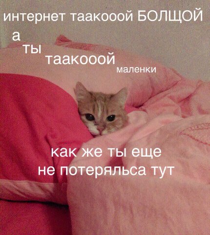 интернет таакооой БОЛЩОЙ а ты таакооой маленки как же ты еще не потеряльса тут