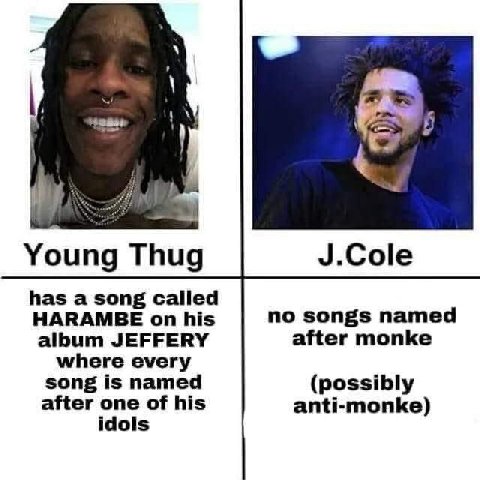 Young Thug J.Cole has a song called HARAMBE on his no songs named album JEFFERY after monke where every song is named (possibly after one of his anti-monke) idols